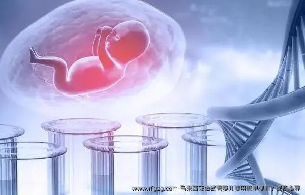 马来西亚做代孕费用哪里便宜？医院推荐