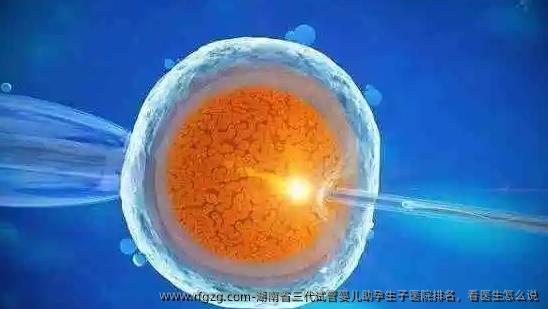 湖南省三代代孕助孕生子医院排名，看医生怎么说