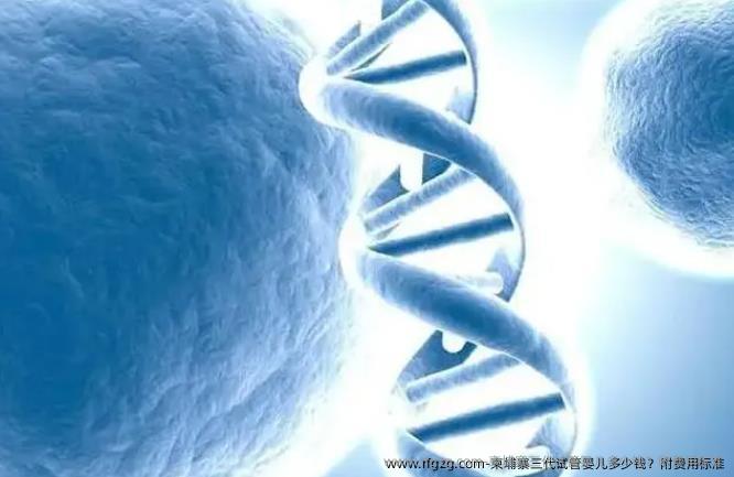 柬埔寨三代代孕多少钱？附费用标准