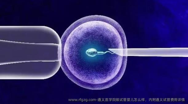 遵义医学院做代孕怎么样，内附遵义试管费用详情