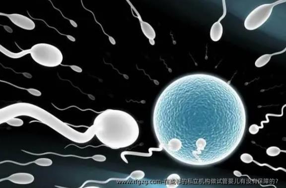 在成都的私立机构做代孕有没有保障的？