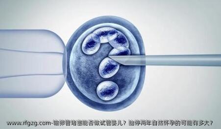 输卵管堵塞能否做代孕？胎停两年自然怀孕的可能有多大？ 