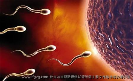 赴吉尔吉斯斯坦做试管所需主要文件和手续办理分享