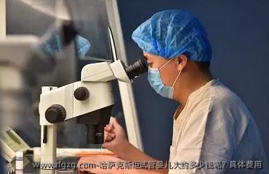 哈萨克斯坦代孕大约多少钱呢？具体费用