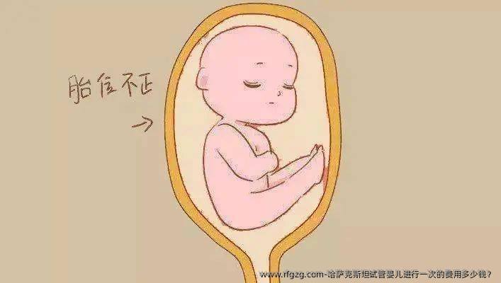 哈萨克斯坦代孕进行一次的费用多少钱？