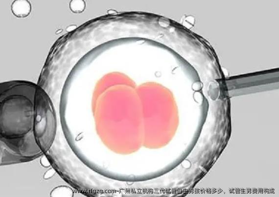 广州私立机构三代试管优生孩子孩价格多少，试管生孩子费用构成