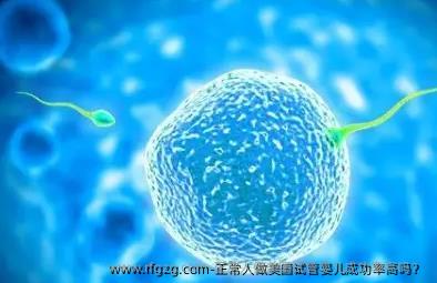 正常人做美国代孕成功率高吗？ 