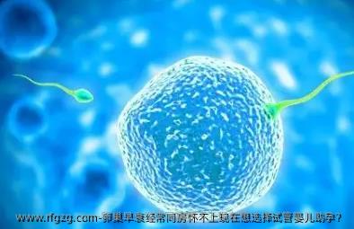 卵巢早衰经常同房怀不上现在想选择代孕助孕？