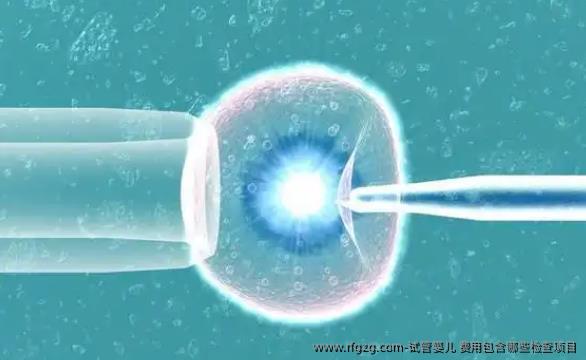 代孕 费用包含哪些检查项目