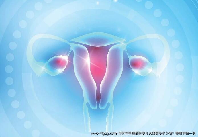 哈萨克斯坦代孕大约需要多少钱？费用明细一览