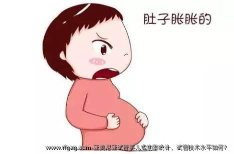 亚美尼亚代孕成功率统计，试管技术水平如何？