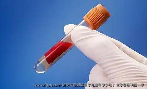 哈萨克斯坦代孕准备多少钱？主要费用明细一览
