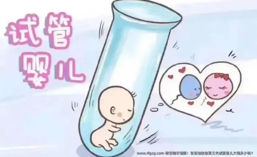 帮您精打细算！在新加坡做第三代代孕大概多少钱？