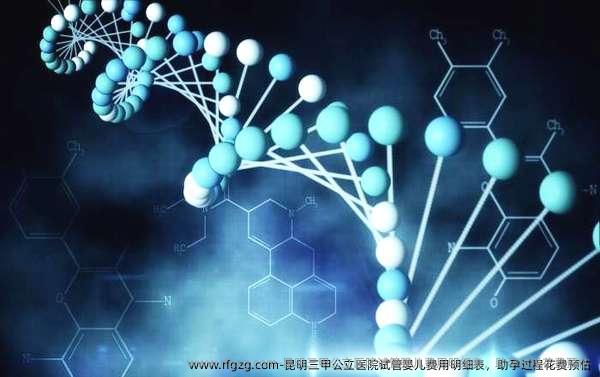 昆明三甲公立医院代孕费用明细表，助孕过程花费预估