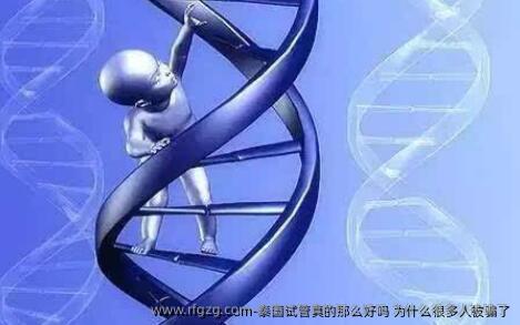 泰国试管真的那么好吗 为什么很多人被骗了