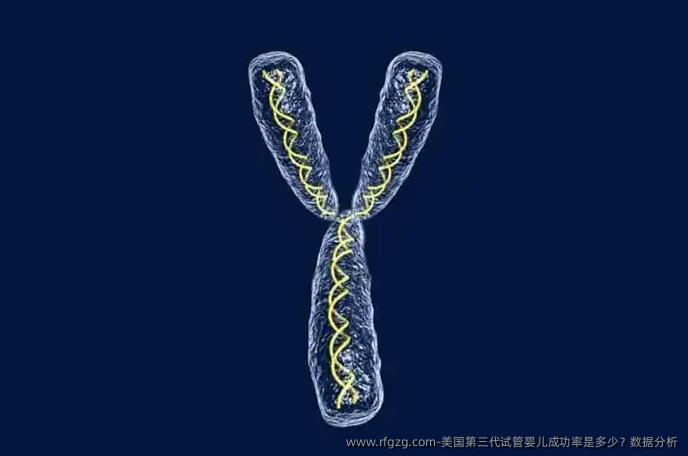 美国第三代代孕成功率是多少？数据分析
