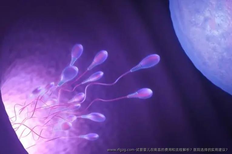 代孕在南昌的费用和流程解析？医院选择的实用建议？