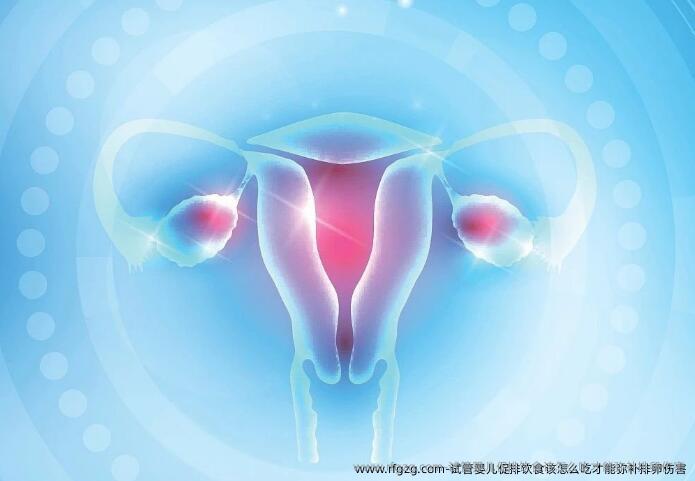 代孕促排饮食该怎么吃才能弥补排卵伤害