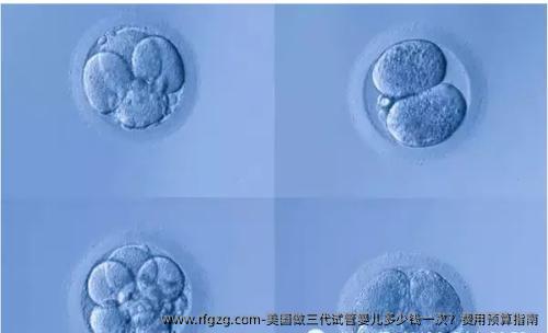 美国做三代代孕多少钱一次？费用预算指南