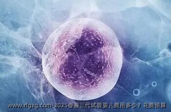 2025香港三代代孕费用多少？花费预算