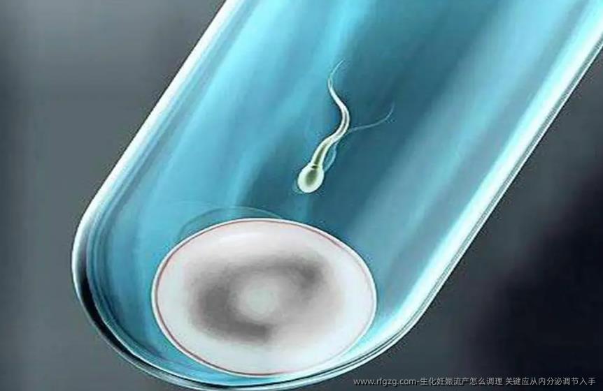 生化妊娠流产怎么调理 关键应从内分泌调节入手