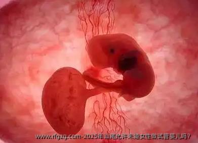 2025年汕尾允许未婚女性做代孕吗？