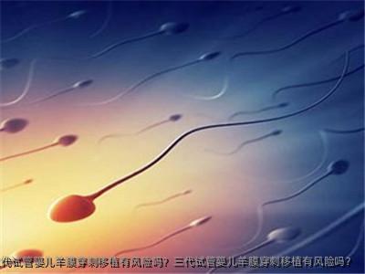 三代代孕羊膜穿刺移植有风险吗？三代代孕羊膜穿刺移植有风险吗？