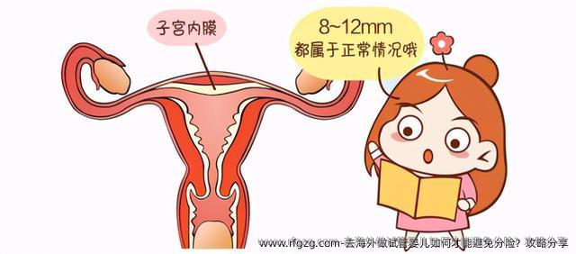 去海外做代孕如何才能避免分险？攻略分享