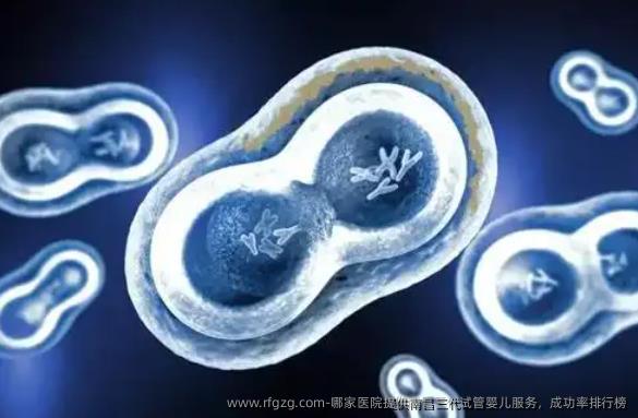 哪家医院提供南昌三代代孕服务，成功率排行榜