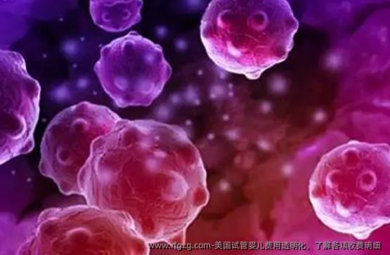 美国代孕费用透明化，了解各项收费明细 