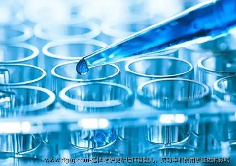 选择哈萨克斯坦代孕，成功率和费用哪些因素影响 