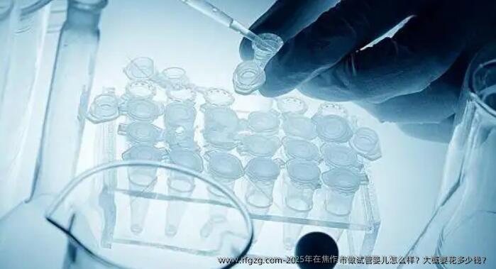 2025年在焦作市做代孕怎么样？大概要花多少钱？